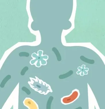 The Hidden Engine: An Immune System That Refuses to Grow Old (Image Credits: Pexels)
