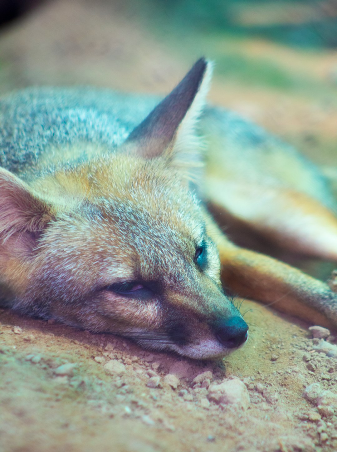 The Hidden Clues (Image Credits: Unsplash)