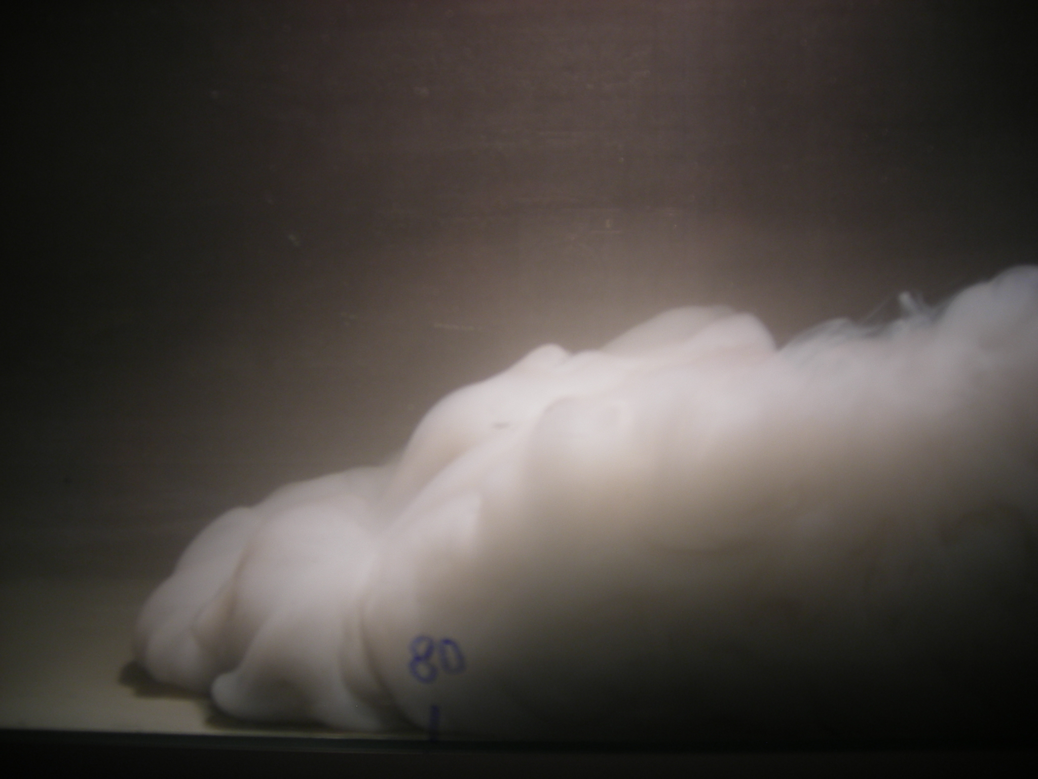 The Birth of Underwater Rivers: When Salt and Cold Create Power (Image Credits: Wikimedia)