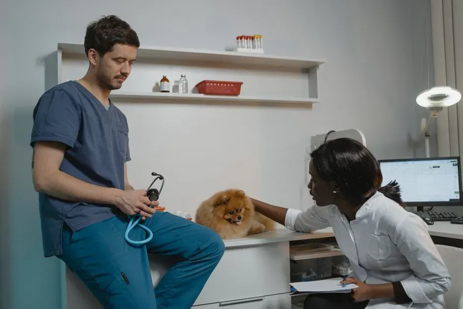 The Surprising Burnout Gap Between Animal Work and Human-Service Work (Image Credits: Pexels)