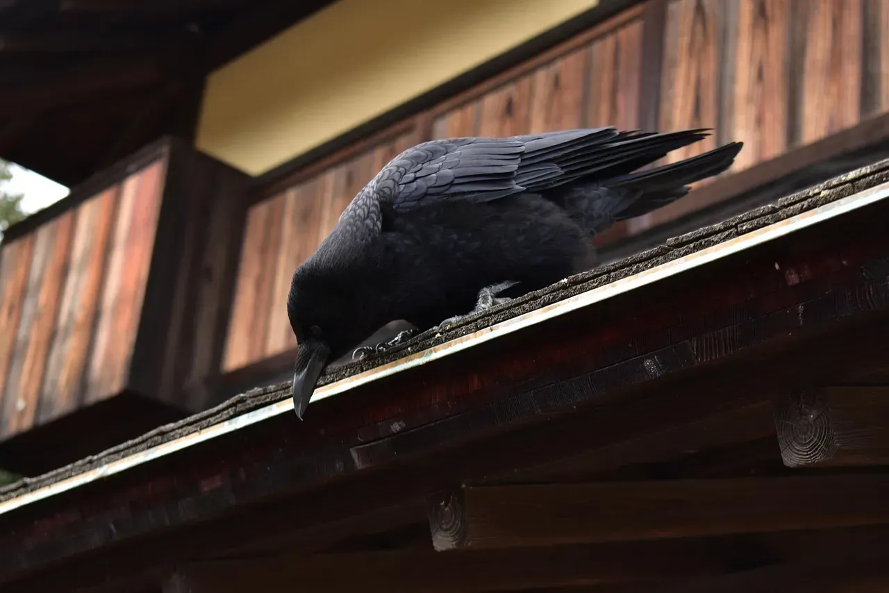 4. Your Neighborhood Soundscape Acts Like a Daily Alarm Clock (Image Credits: Pixabay)