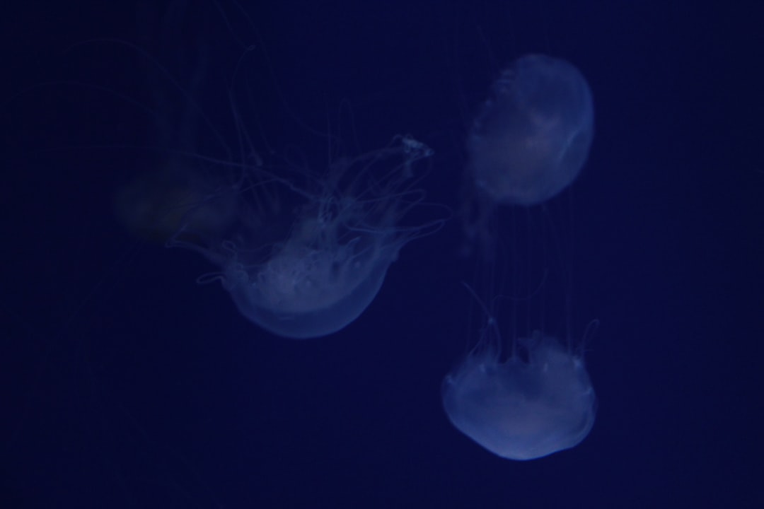 Why It Matters (Image Credits: Unsplash)