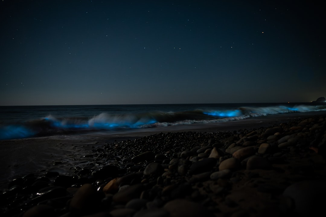 Newport Beach and Laguna Beach, Orange County (Image Credits: Unsplash)