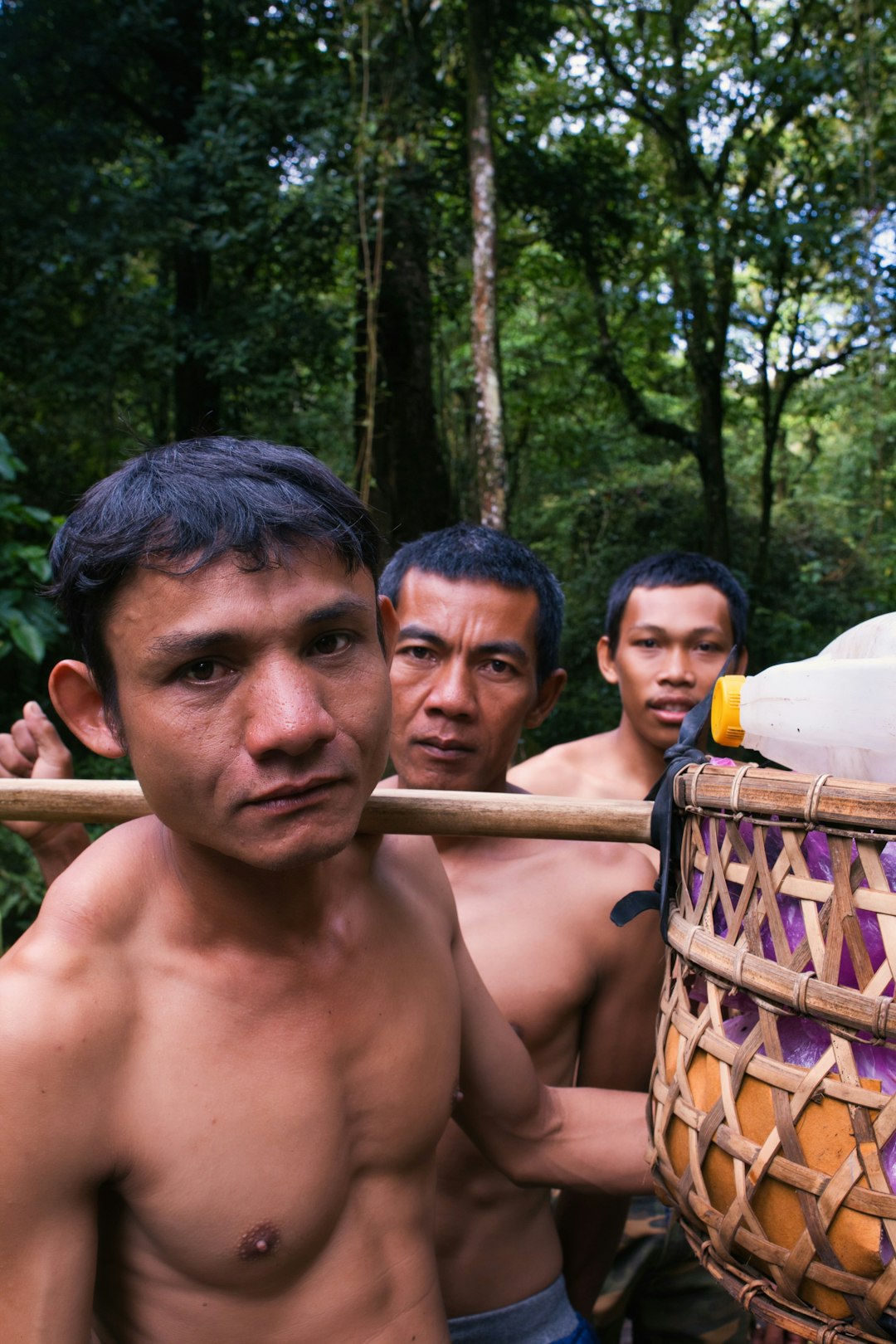 The Tragic Cost of First Contact (Image Credits: Unsplash)