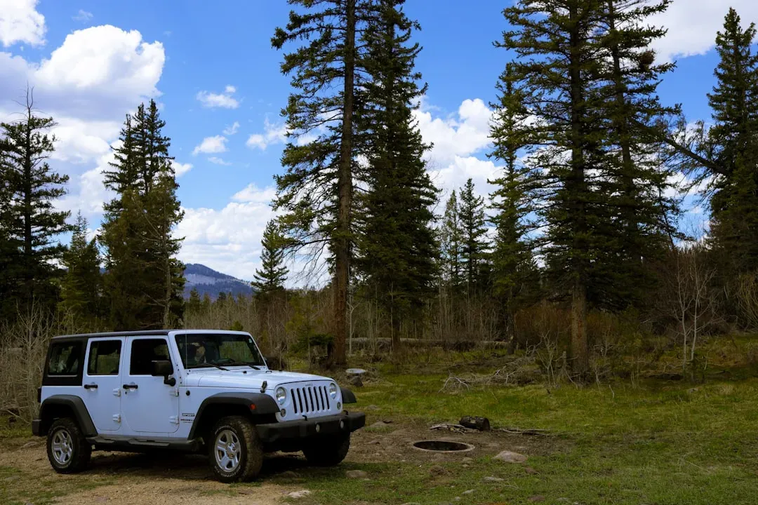 1. Peter Louis Kastner: A Car at Hellroaring Trailhead and Then Nothing (Image Credits: Unsplash)