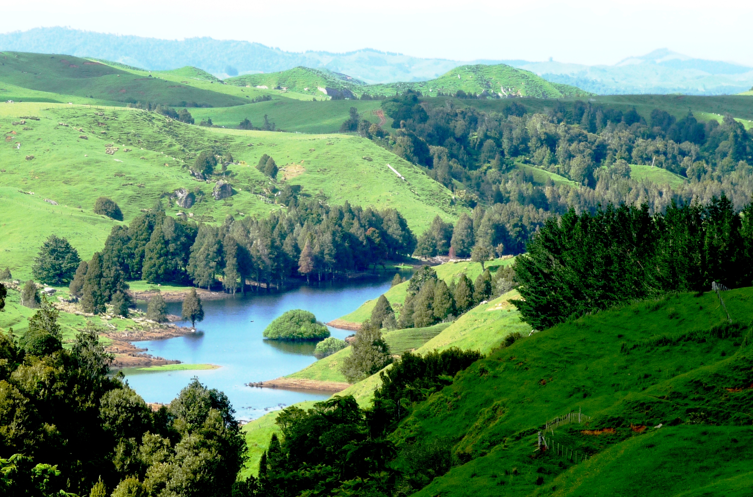 Lake Jackson, Florida: The Sink That Swallows a Lake (Image Credits: Wikimedia)