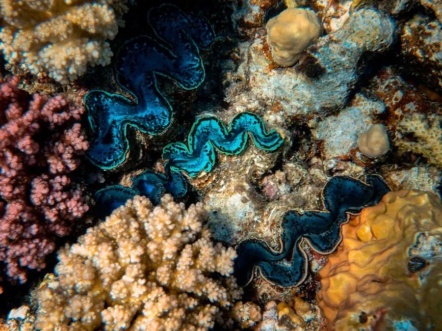 5. They Start Life Tiny and Drift Like Dust (Image Credits: Pexels)