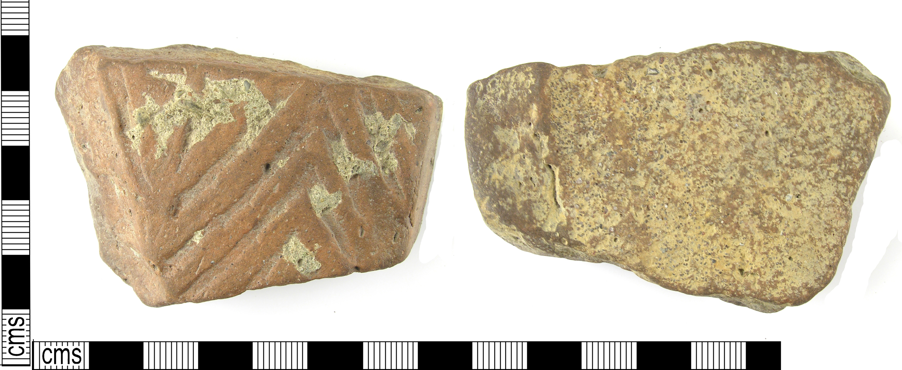 The Hidden Clues (Image Credits: Wikimedia)