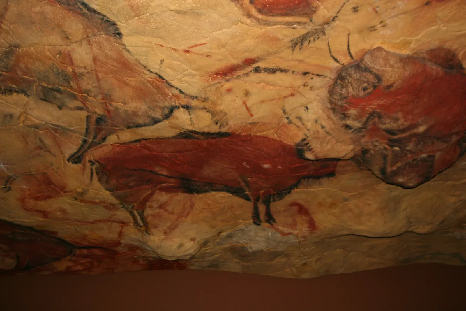#2 Altamira, Spain – A Hunter’s Dog, A Little Girl, And A Discovery No One Wanted To Believe (By User:MatthiasKabel, CC BY 2.5)