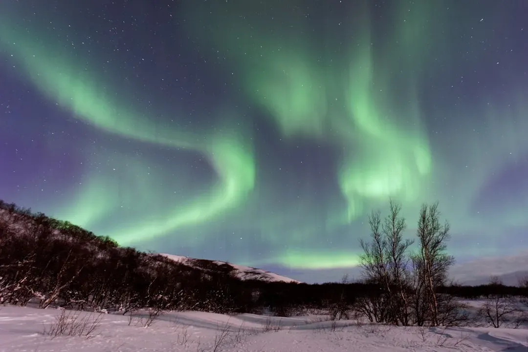The Northern Lights Over Alaska (Image Credits: Unsplash)
