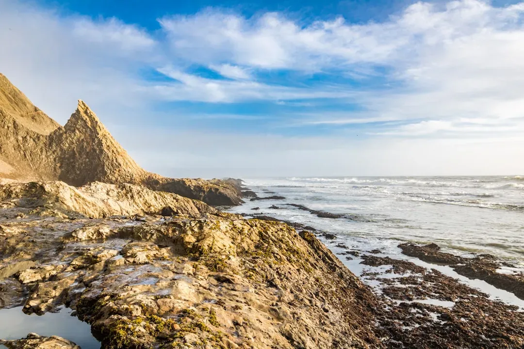 Conclusion: Seeing Your Coastlines With New Eyes (Image Credits: Unsplash)