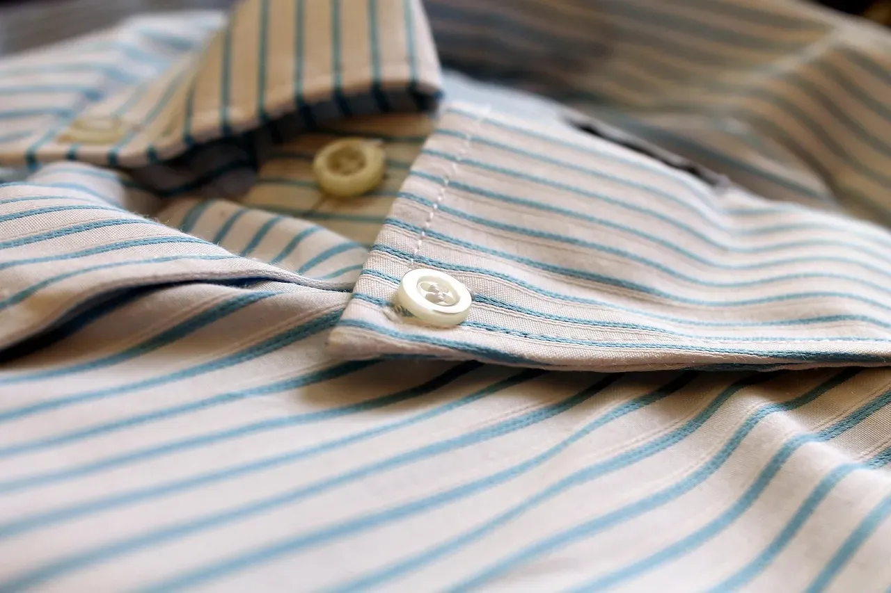 8. Cotton Shirts: Natural Nanotechnology in Your Closet (Image Credits: Pixabay)