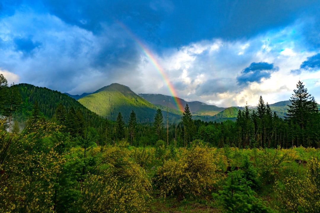 Natural Climate Patterns: Weather Without Industrial Influence (Image Credits: Unsplash)
