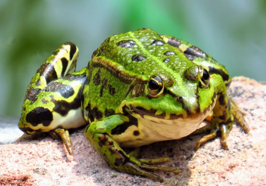Why staying moist is literally a matter of life and death (Image Credits: Pexels)