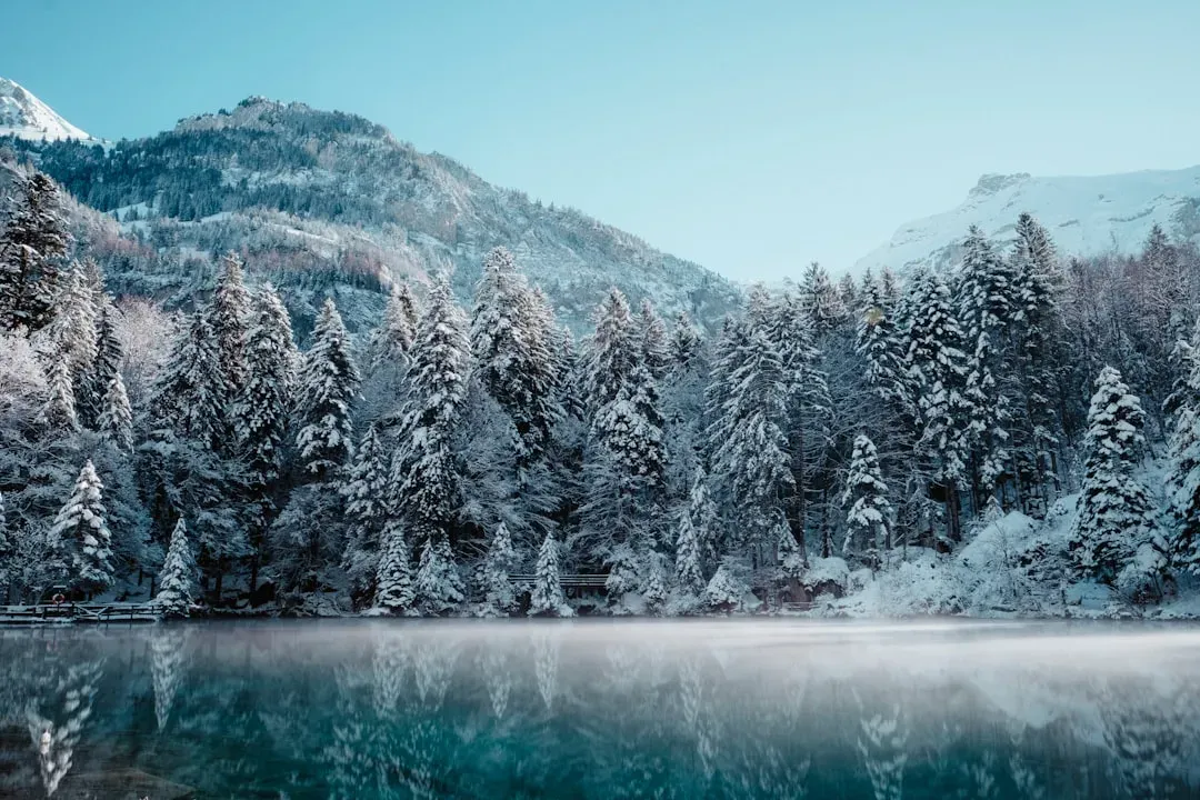 #3 - The 536 AD Winter That Historians Call "The Worst Year to Be Alive" (Image Credits: Unsplash)
