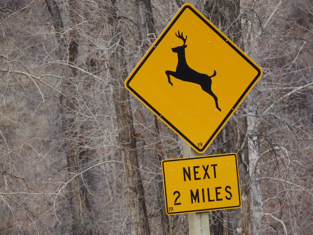 I‑80, Pequop Range, Nevada: Mule Deer Over the Divide (Image Credits: Unsplash)