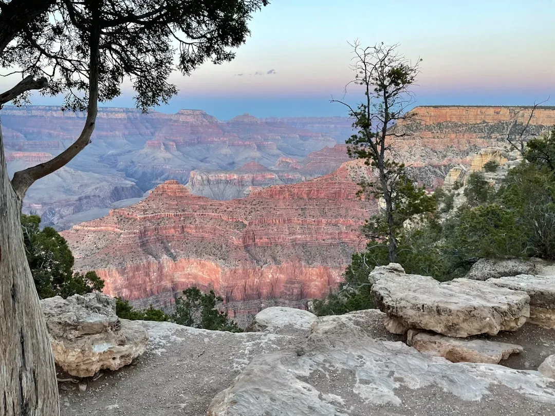 Visiting the Canyon with New Eyes (Image Credits: Unsplash)