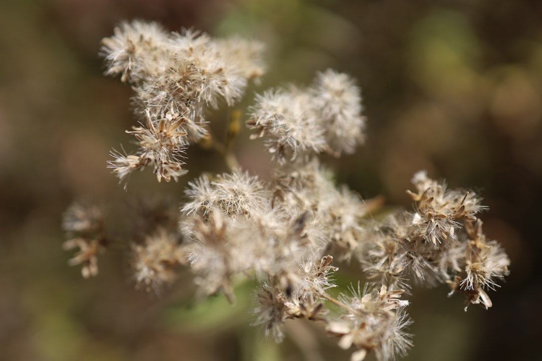 Wind, Wings, and Water (Image Credits: Unsplash)
