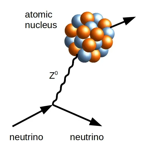 Coherent Neutrino Scattering Finally Observed (Image Credits: Wikimedia)
