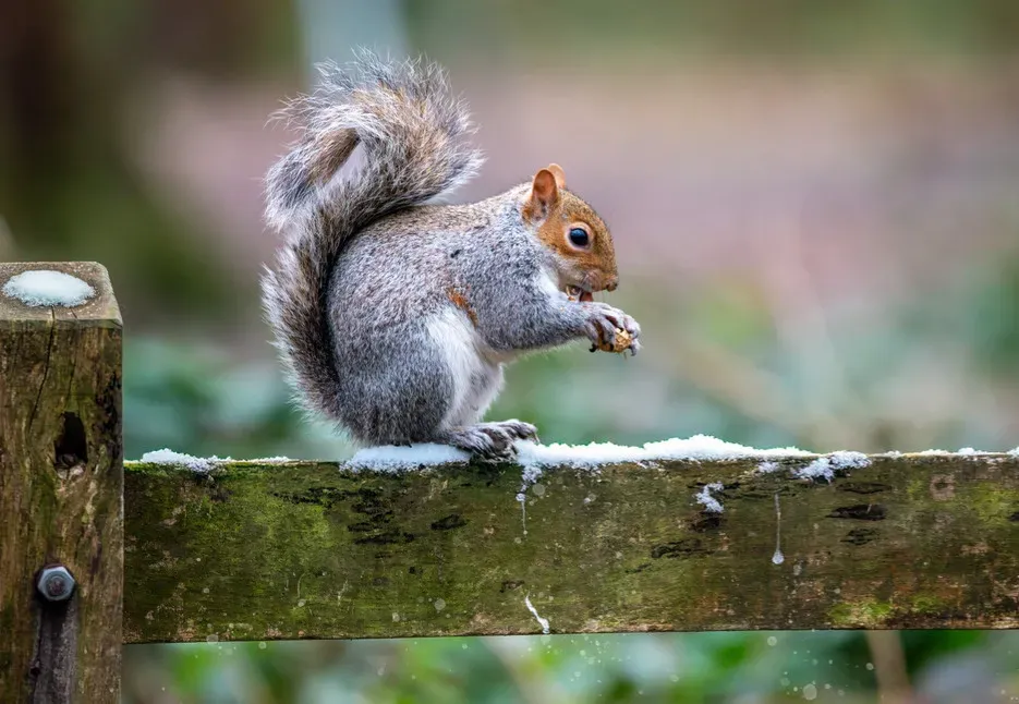 Conclusion: A Noisy Planet, If You Learn to Listen (Image Credits: Flickr)