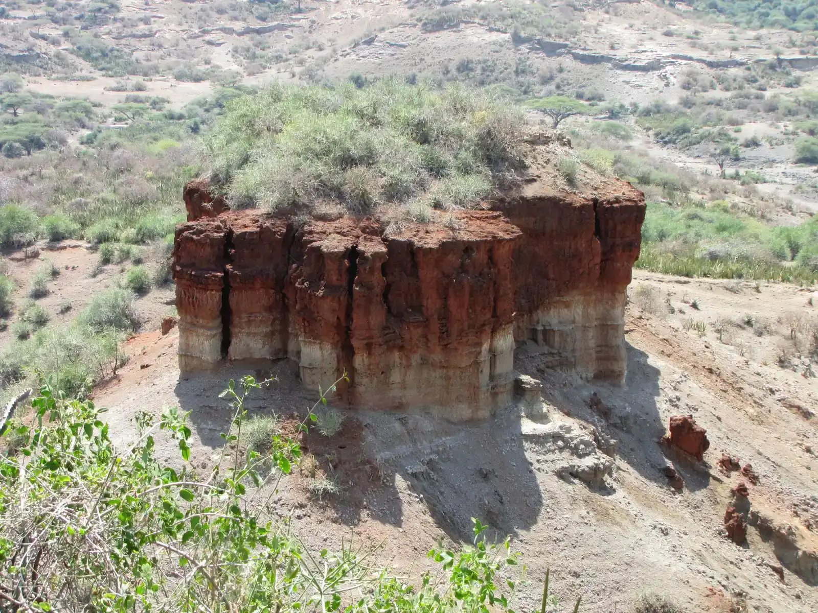 8. Olduvai Gorge: The Deep Roots of Technology (By D. Gordon E. Robertson, CC BY-SA 3.0)