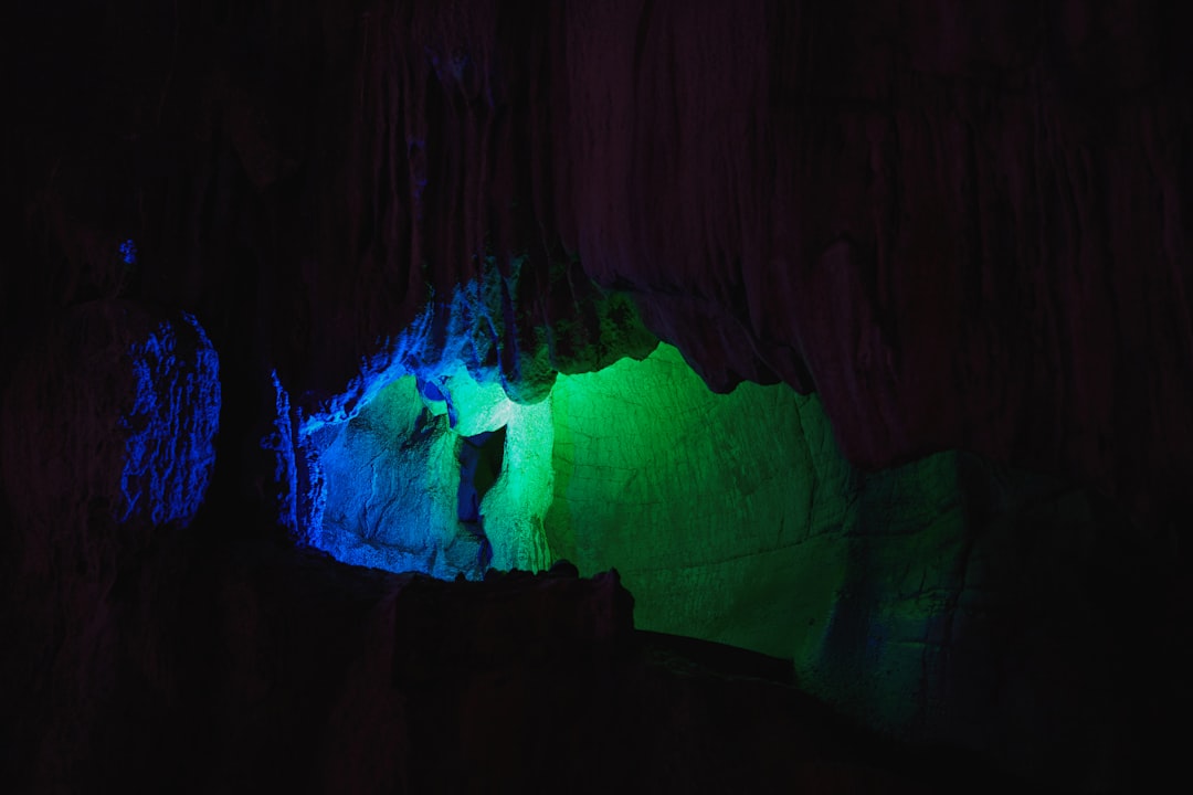 Dismals Canyon, Alabama - The Crown Jewel of American Bioluminescence (Image Credits: Unsplash)