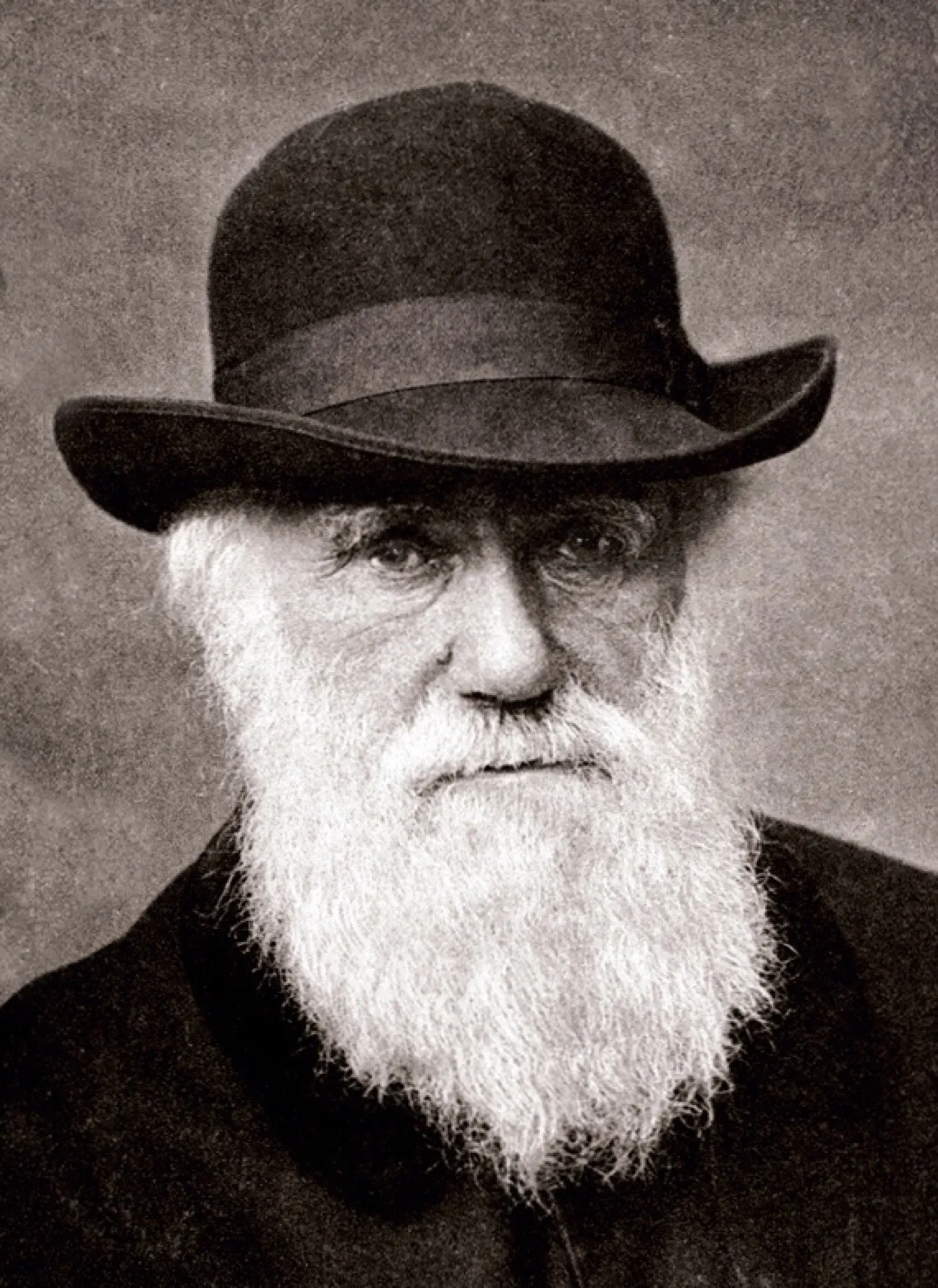 The Untrained Naturalist: Charles Darwin and the Awkward Birth of Evolution (Image Credits: Wikimedia)