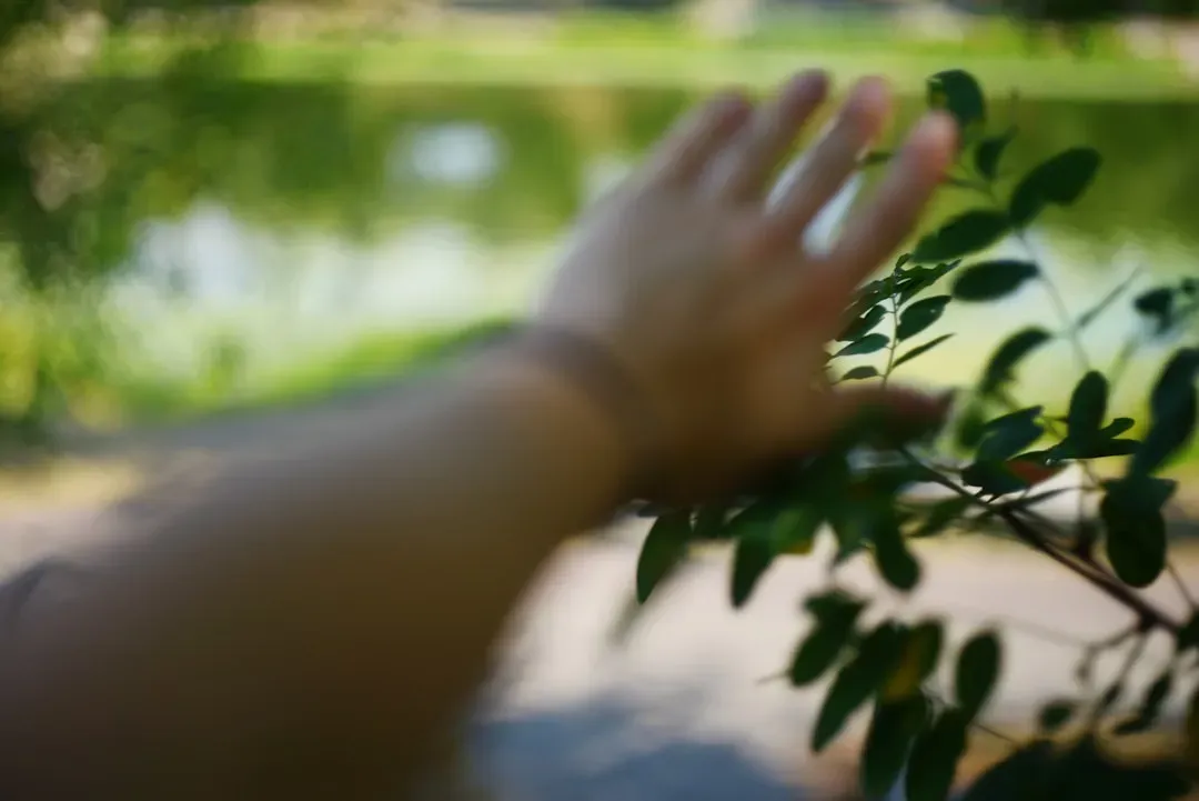 The Strange Case of Backward Touch and Sound (Image Credits: Unsplash)