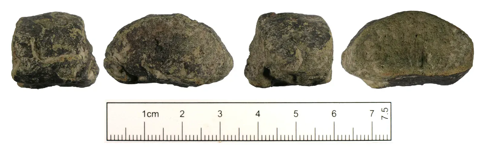 #20 - The Uluburun Shipwreck's Standardized Bronze Ingots (By Sussex Archaeological Society, Laura Burnett, 2008-03-20 01:39:49, CC BY-SA 2.0)