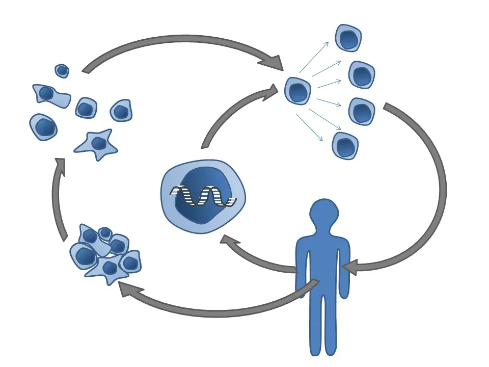 Personalized Cancer Immunotherapy Is Teaching Cells to Fight Back (Image Credits: Wikimedia)