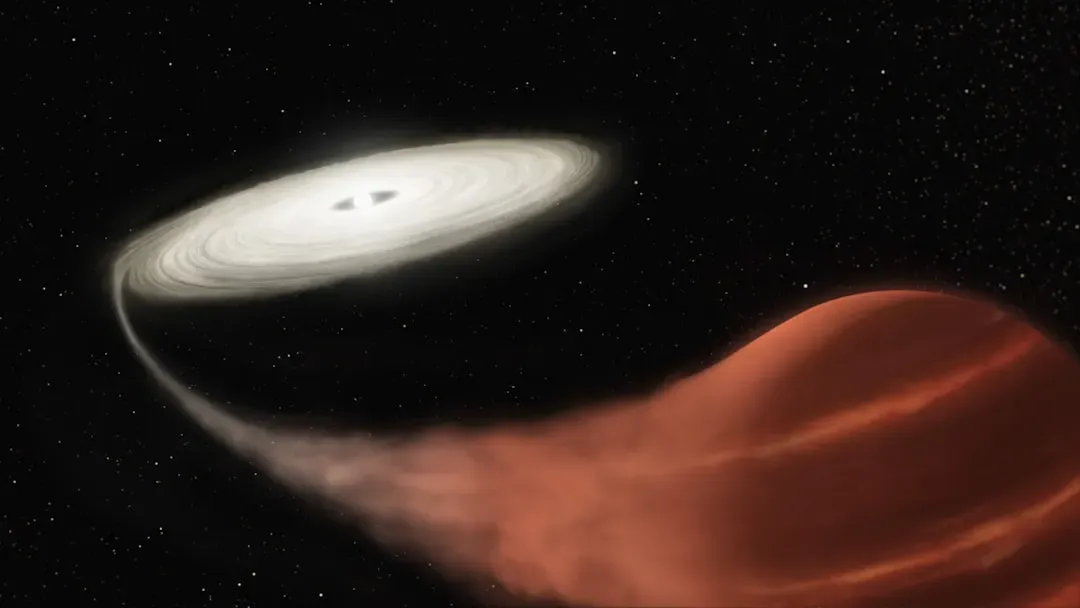 7. White Dwarfs: Quiet, Dense Embers Bending Space More Than You’d Expect (Image Credits: Unsplash)
