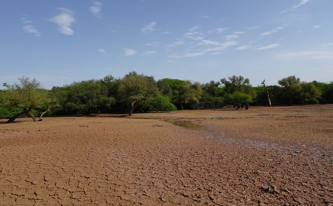 The Future of Nevada's Vanishing Lakes (Image Credits: Pixabay)