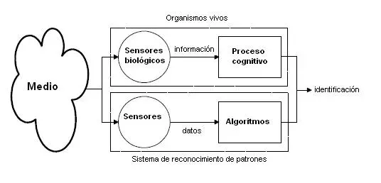 Why It Matters: Patterns, Power, and Human Meaning (Image Credits: Wikimedia)