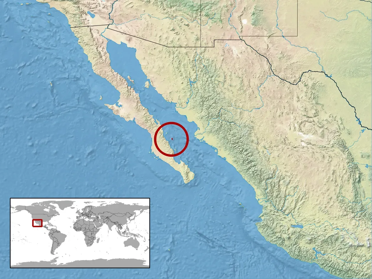 Snake Island (Ilha da Queimada Grande): Where Science Meets a Venomous Wall (Image Credits: Wikimedia)