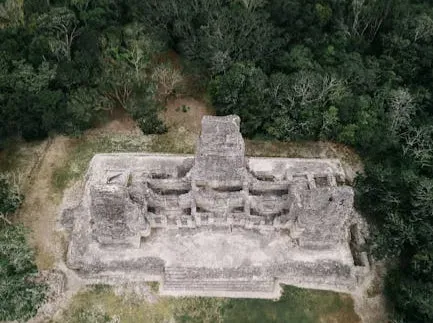 The Shocking Discovery: Cities Hidden Beneath the Canopy (Image Credits: Pexels)