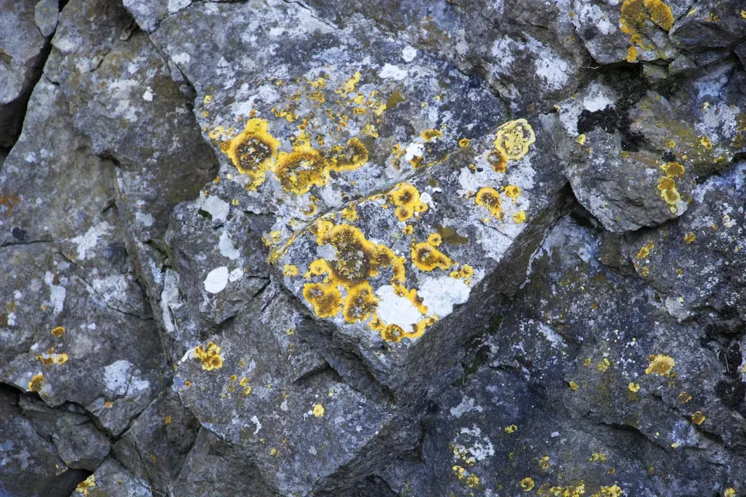 7. Ancient Rocks Carry Chemical Whispers of Early Microbes (Image Credits: Unsplash)