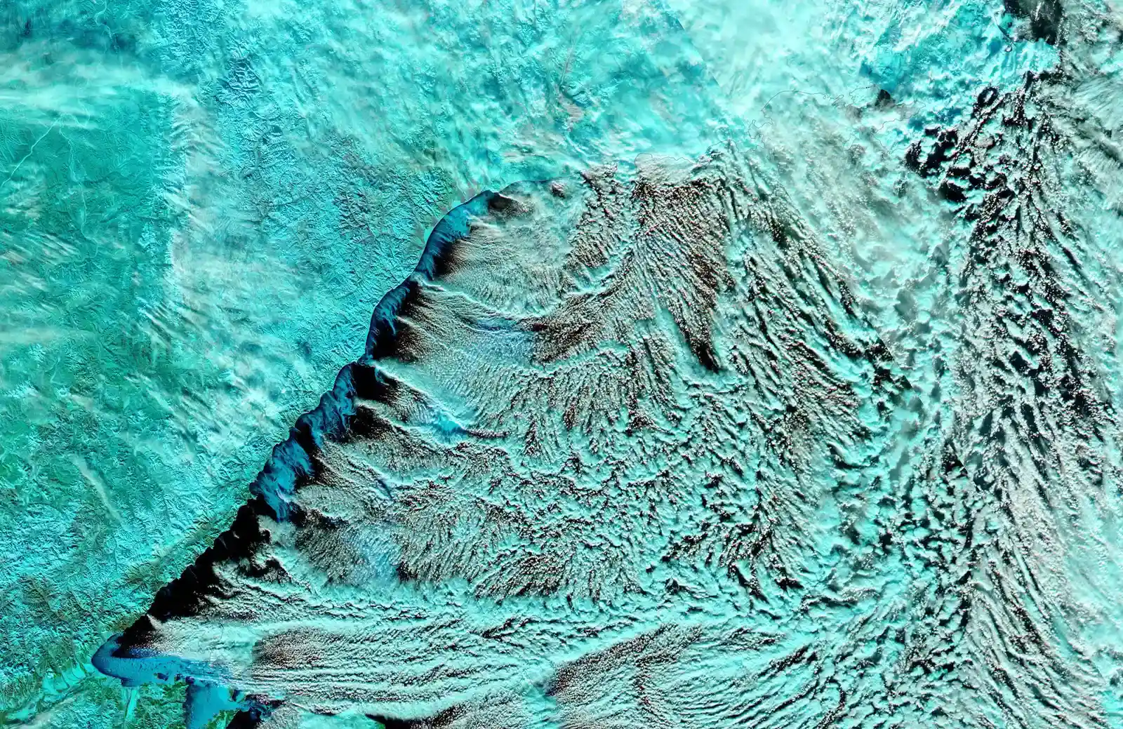 The Enigma of Deep-Sea “Bristle” and “Honeycomb” Patterns on the Seafloor (Image Credits: Wikimedia)