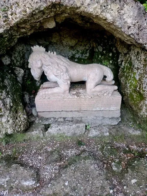 #2 - The Cave Lion's Face That Never Forgot Itself (Image Credits: Pexels)