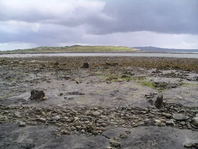 #5 Submerged Forests and Ancient Shorelines at Low Water (From geograph.org.uk, CC BY-SA 2.0)