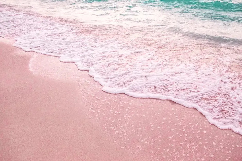 7. Pink Sands Beach, Harbour Island, Bahamas (Image Credits: Pexels)
