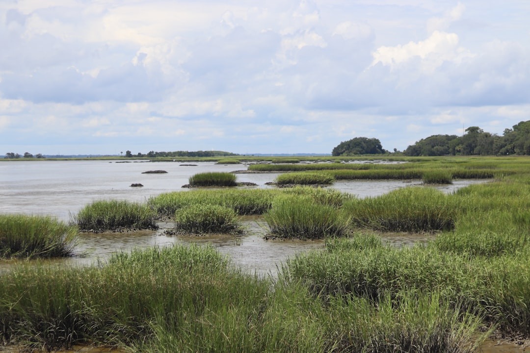 Herring River, Massachusetts - A Tidal Reconnection Decades in the Making (Image Credits: Unsplash)