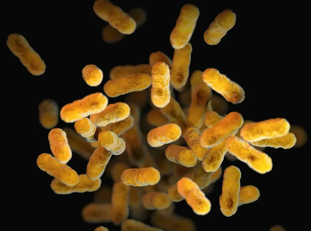 Microbiome and Brain: Your Gut Bacteria Are in on the Conversation (Image Credits: Unsplash)