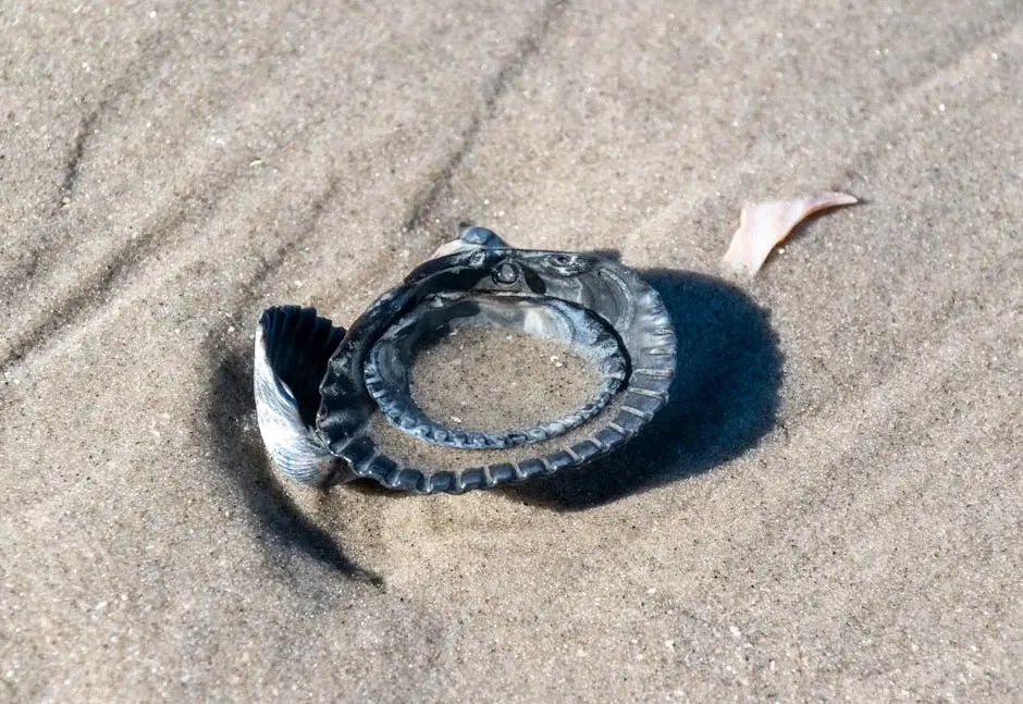 10. Cans, Metal Fragments, and Other Odd Debris (Image Credits: Pexels)