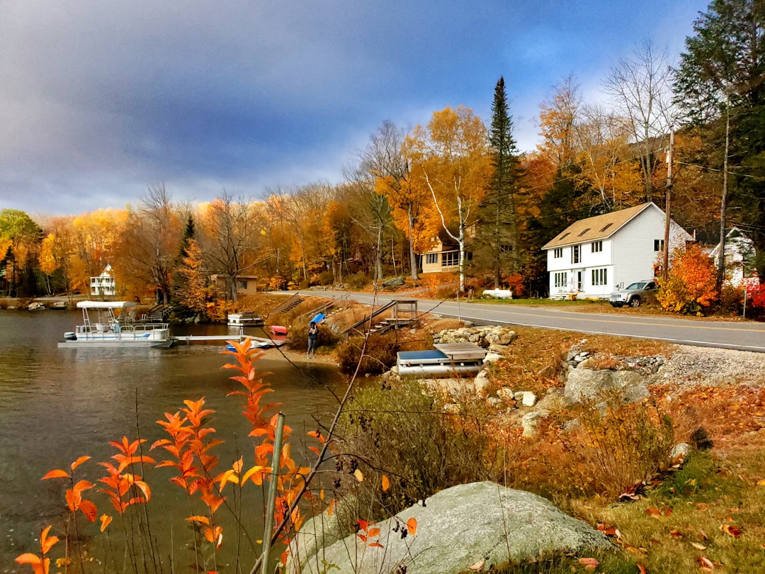 New Hampshire Integrates Living Shorelines into State Regulations (Image Credits: Unsplash)