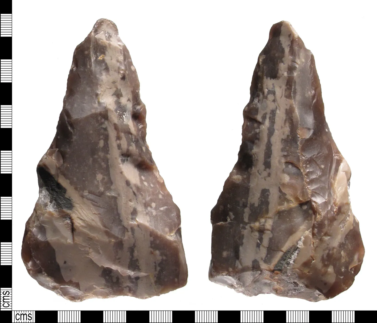 2. Handaxes: The Stone Swiss Army Knife You Never Knew You Needed (By Sussex Archaeological Society, Stephanie Smith, 2012-12-03 22:02:56, CC BY-SA 2.0)