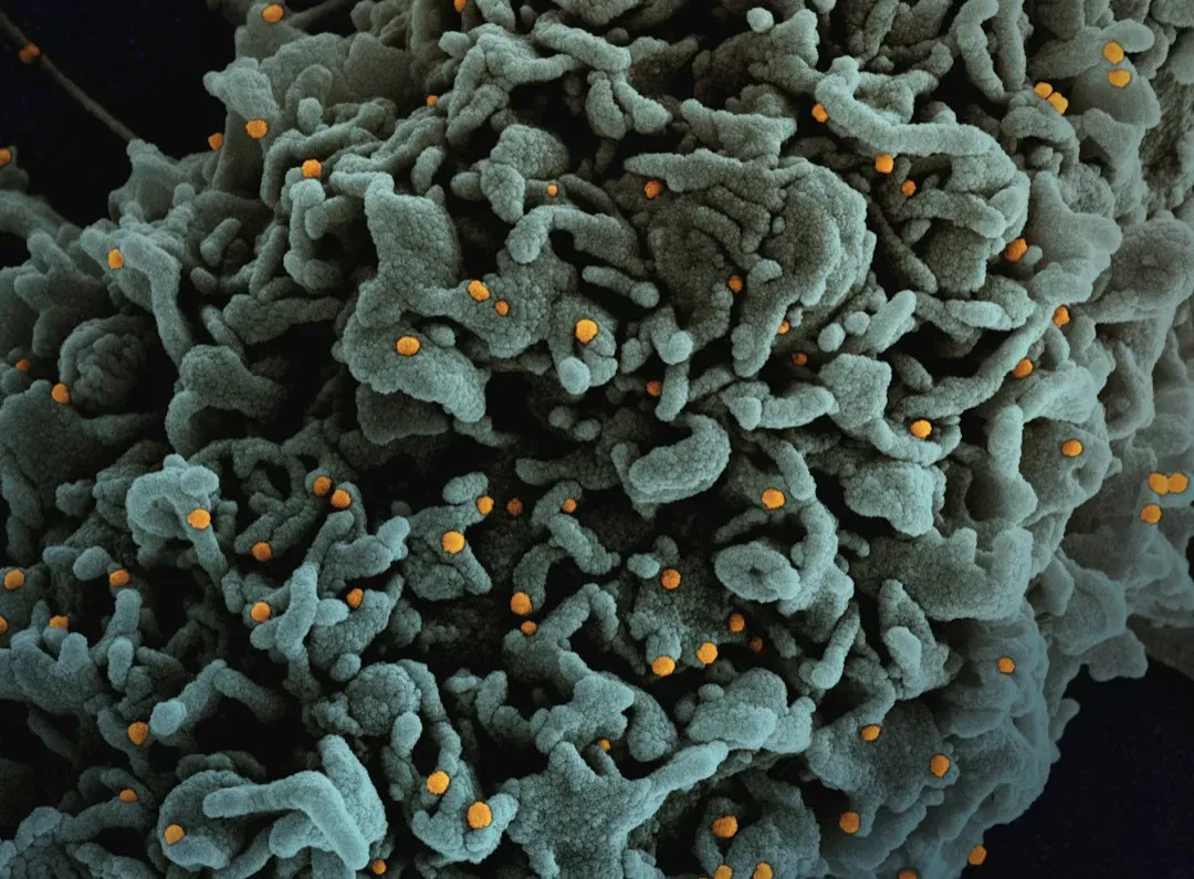 The Invisible Invaders Already Living Inside You (Image Credits: Unsplash)