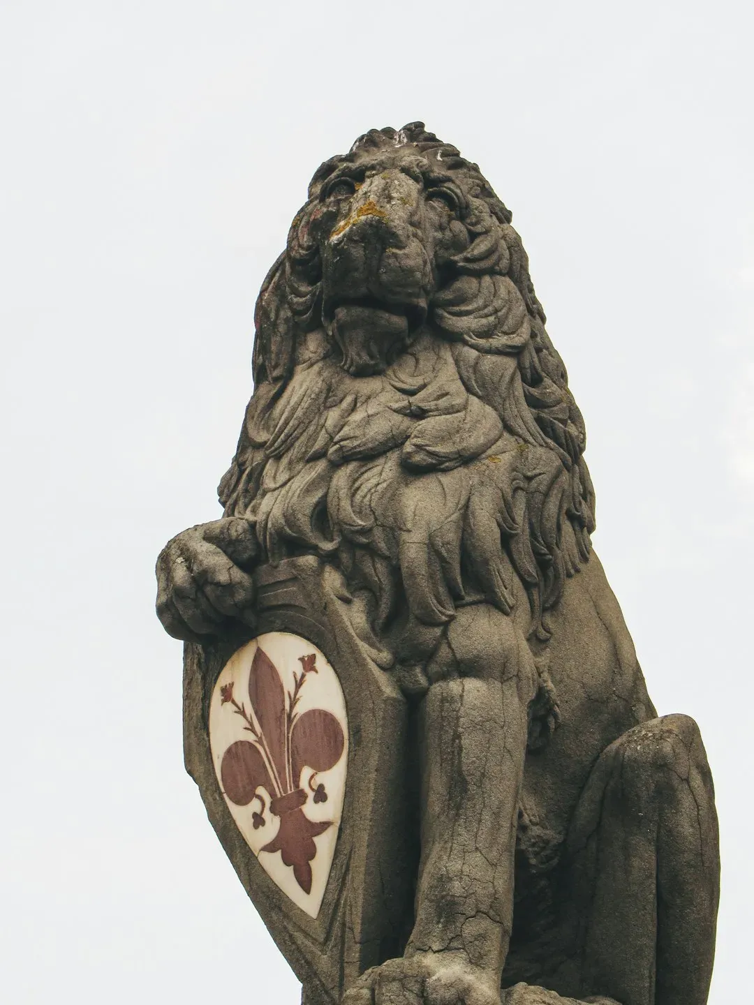 Global Perspectives: The Lion Archetype Across Cultures (Image Credits: Unsplash)