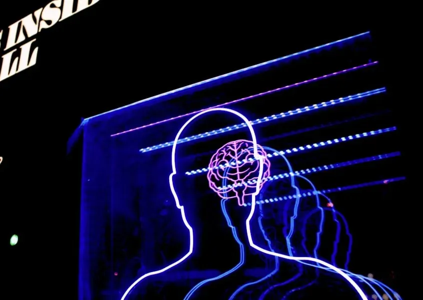 The Filter Theory: Your Brain as a Reducing Valve (Image Credits: Unsplash)
