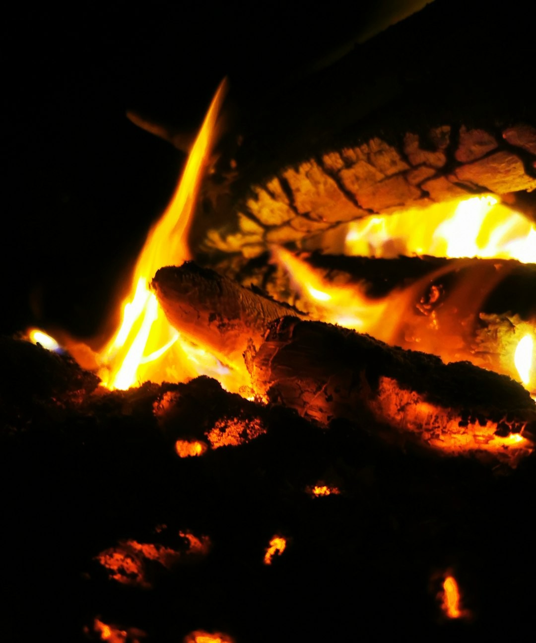 Fire Signs: Heat, Hunger, and High Ground (Aries, Leo, Sagittarius) (Image Credits: Unsplash)