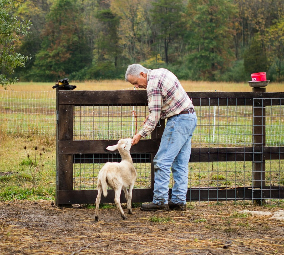 Earth’s Quiet Compass: Virgo and Taurus (Image Credits: Unsplash)